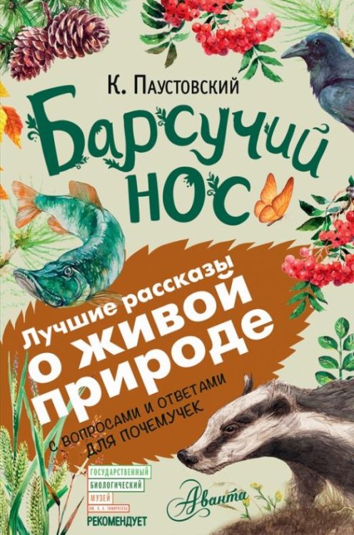 Барсучий нос