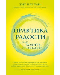 Практика радости. Как ходить осознанно