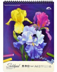 Альбом для смешанных сухих техник. Ирисы, А4, 30 листов