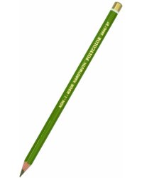 Карандаш цветной художественный Polycolor 3800/27, оливковый темный