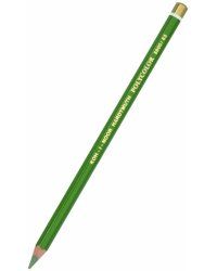 Карандаш цветной художественный Polycolor 3800/63, оливковый светлый