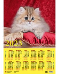 Календарь на 2023 год. Год кота. Очаровательный малыш
