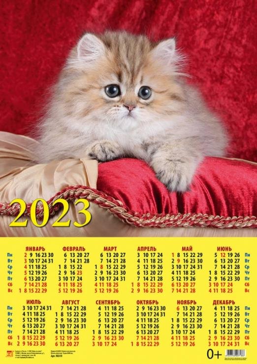 Календарь на 2023 год. Год кота. Очаровательный малыш