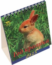 Календарь на 2023 год. Год кролика 
