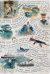 Тетрадь Морской мотив, 40 листов, клетка