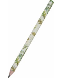 Карандаш чернографитовый HappyGraphix Jumbo. Луговые травы, 4В