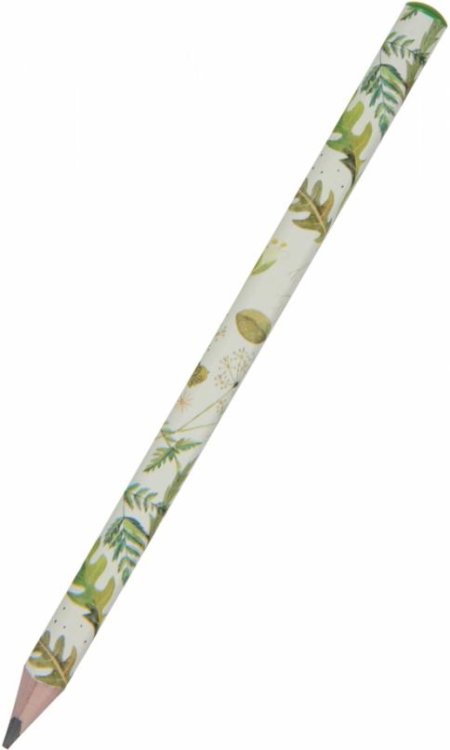 Карандаш чернографитовый HappyGraphix Jumbo. Луговые травы, 4В