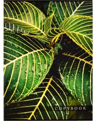 Тетрадь-перевертыш. Джунгли, 80 листов, А4, клетка