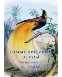 Набор открыток. Самые красивые птицы