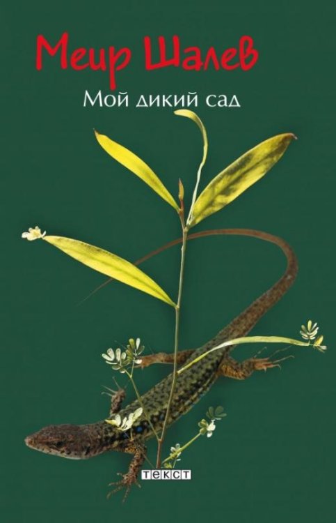 Мой дикий сад