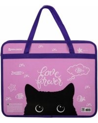 Папка с ручками Black Cat, А4