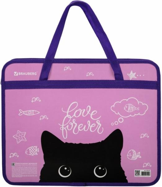 Папка с ручками Black Cat, А4