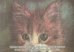 Обложка книги «Бумага тонированная Black, 10 листов, А4»