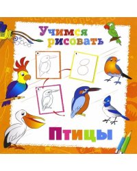 Учимся рисовать. Птицы