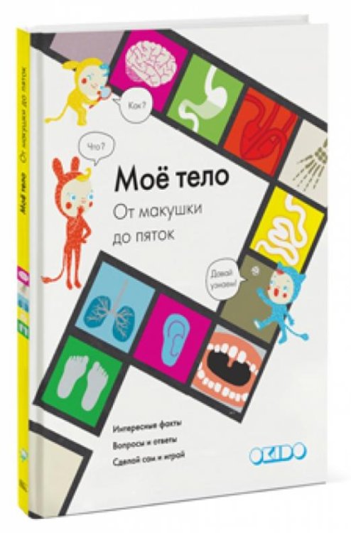 Мое тело от макушки до пяток