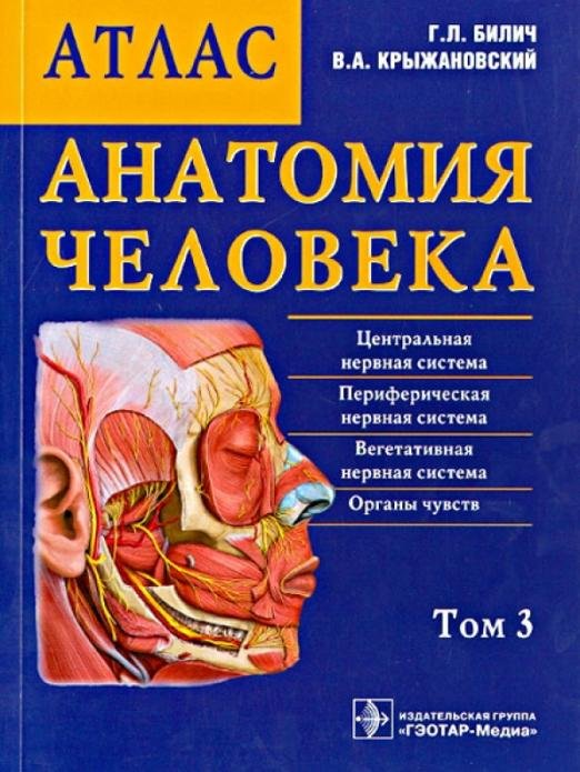 Анатомия человека. Атлас. В 3-х томах. Том 3