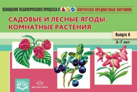 Картотека предметных картинок. Наглядный дидактический материал. Выпуск № 6. Садовые и лесные ягоды