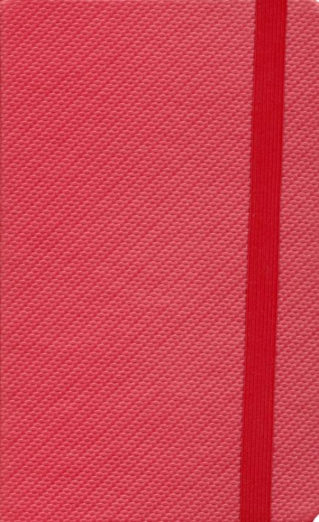 Ежедневник недатированный А5 Barry красный металлик (24704/08)