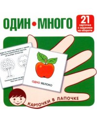 Один-много. Изучаем слова и значения. 21 карточка с текстом на обороте