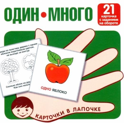 Один-много. Изучаем слова и значения. 21 карточка с текстом на обороте