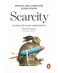Scarcity. The True Cost of Not Having Enough