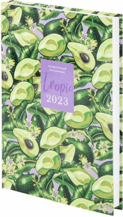 Обложка книги «Ежедневник датированный на 2023 год Avocado, А5»