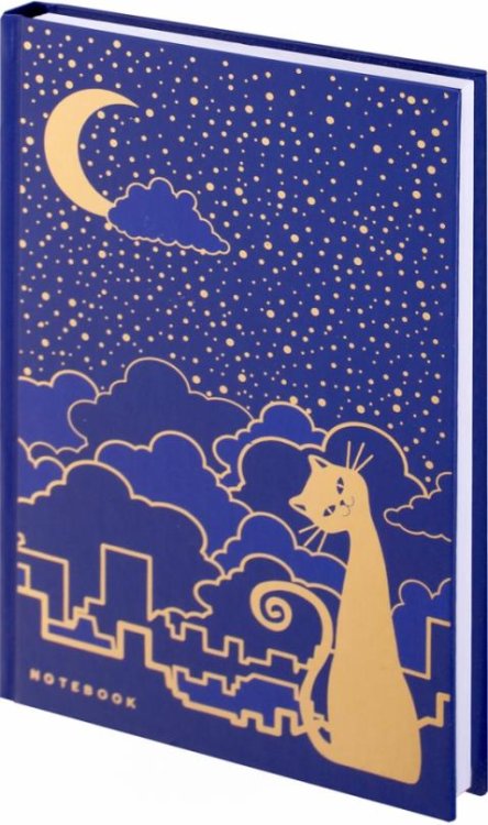 Обложка книги «Блокнот Кошечка, А5, 80 листов, клетка»