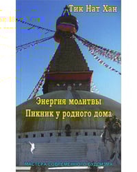 Энергия молитвы. Пикник у родного дома