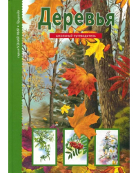 Деревья. Школьный путеводитель