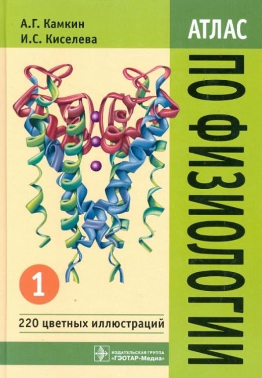 Атлас по физиологии. В 2-х томах. Том 1. Учебное пособие