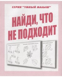Найди, что не подходит. Рабочая тетрадь