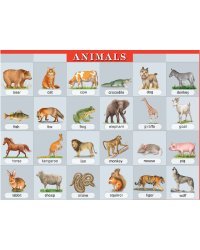 Животные. Наглядное пособие по английскому языку