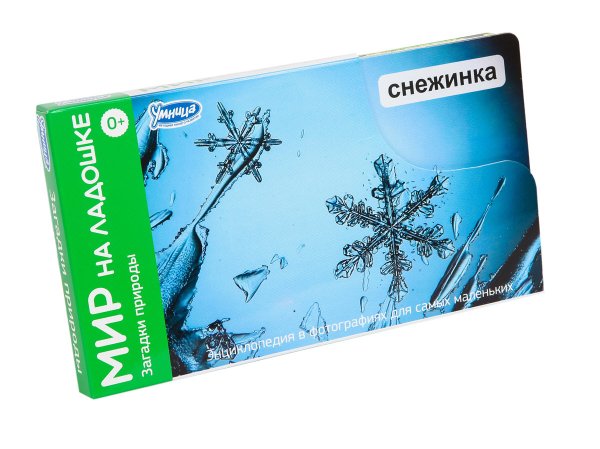 Загадки природы