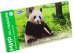 Обложка книги «Удивительные животные», ISBN 9785916660081