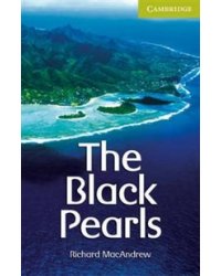 The Black Pearls Starter