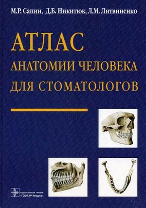 Атлас анатомии человека для стоматологов