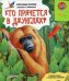 Обложка книги «Кто прячется в джунглях?» — Булацкий Святослав, ISBN 9785402003545