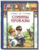 Обложка книги «Сонины проказы» — Сегюр де Софи, ISBN 9785919210092
