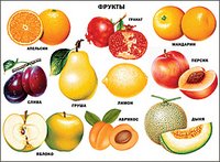 Плакаты на картоне Плакат "Фрукты"