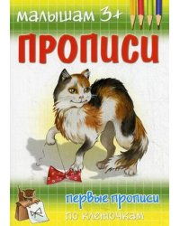 Первые прописи по клеточкам