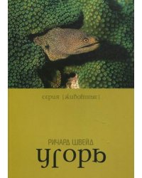 Угорь