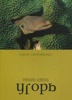 Угорь