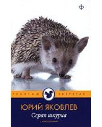 Серая шкурка