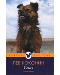 Стая