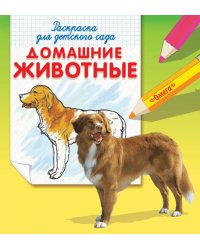 Домашние животные. Раскраска для детского сада
