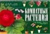 Спираль Комнатные растения. 100 самых популярных