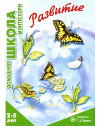 Развитие. 2-5 лет