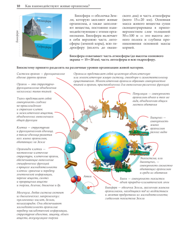 Увлекательная наука. Биология