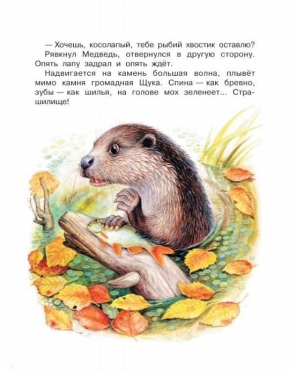 Лесные приключения