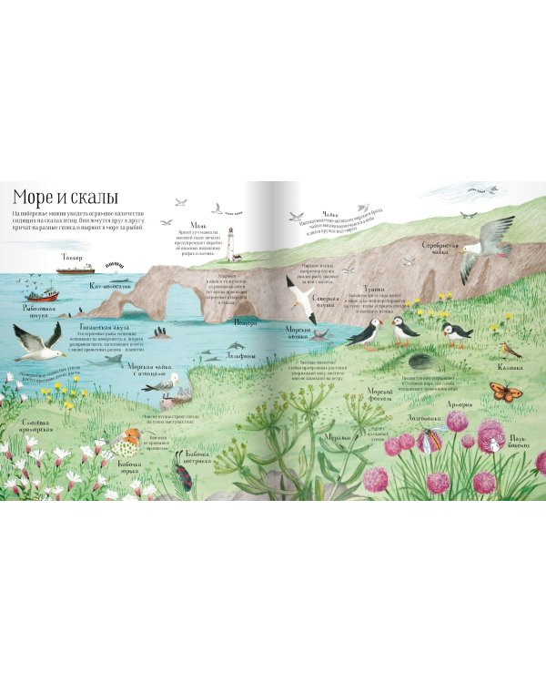 Встречи с дикой природой